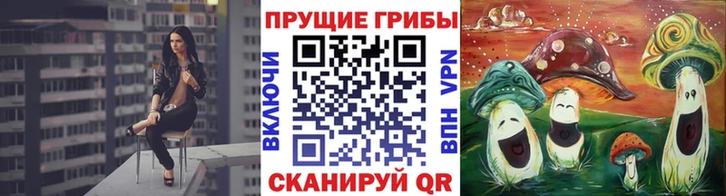 Псилоцибиновые грибы Psilocybe  гидра   Бузулук 
